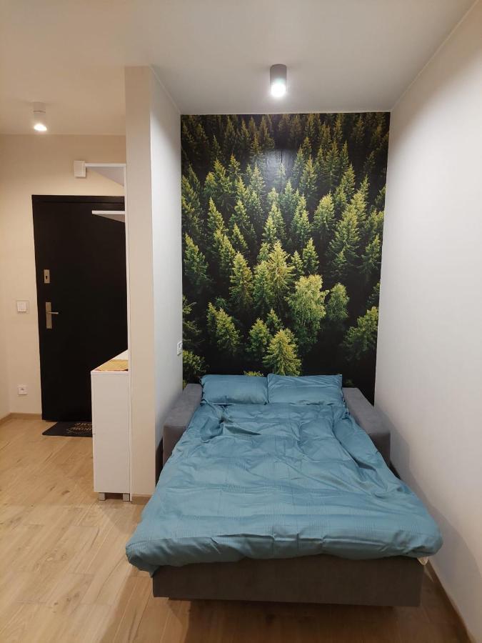 Apartament Pod Gora Szyndzielnia , Debowiec Bielsko-Biala Exterior foto
