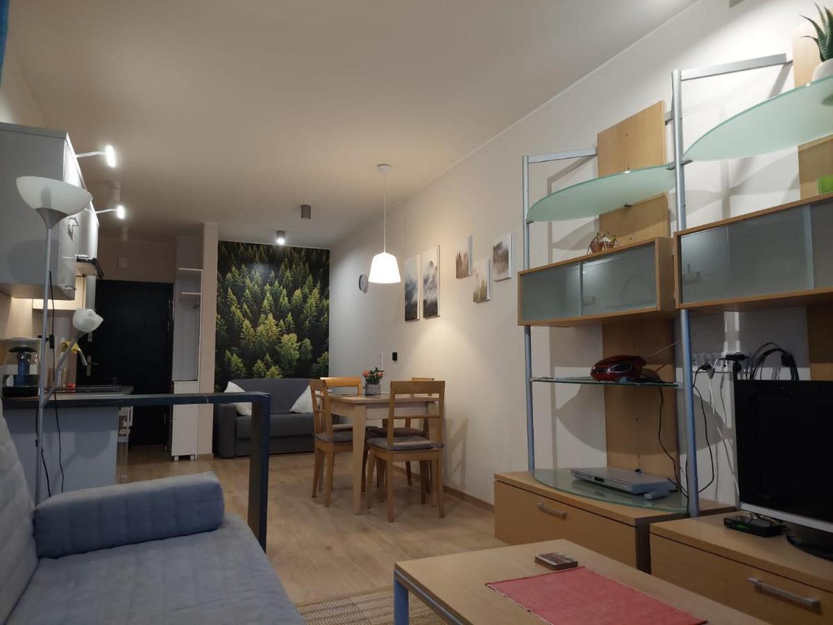 Apartament Pod Gora Szyndzielnia , Debowiec Bielsko-Biala Exterior foto